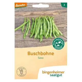 Ansicht für Bio Aubergine - De Barbentane