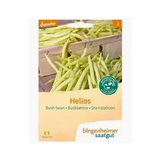 Ansicht für Bio Aubergine - De Barbentane