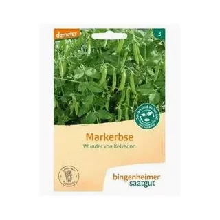 Ansicht für Bio Aubergine - De Barbentane