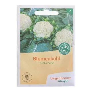 Ansicht für Bio Aubergine - De Barbentane