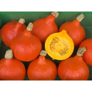 Bio Hokkaido - Red Kuri, 3,35