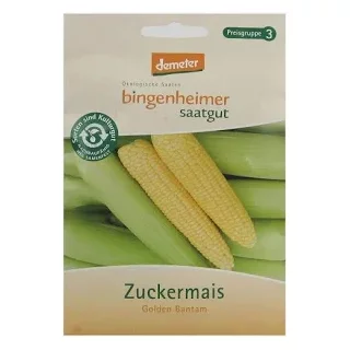 Ansicht für Bio Aubergine - De Barbentane