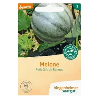 Ansicht für Bio Aubergine - De Barbentane