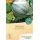 Ansicht für Bio Aubergine - De Barbentane