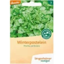 Ansicht f&uuml;r&nbsp;Bio Aubergine - De Barbentane