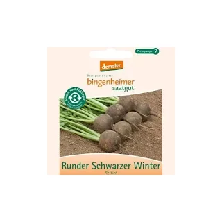 Ansicht für Bio Aubergine - De Barbentane