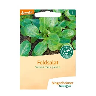 Ansicht für Bio Aubergine - De Barbentane