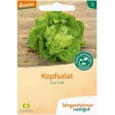 Ansicht f&uuml;r&nbsp;Bio Aubergine - De Barbentane