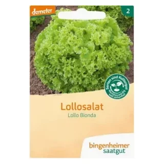 Ansicht für Bio Aubergine - De Barbentane