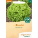 Ansicht für Bio Aubergine - De Barbentane