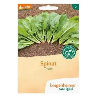 Ansicht für Bio Aubergine - De Barbentane