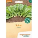 Ansicht für Bio Aubergine - De Barbentane