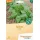 Ansicht für Bio Aubergine - De Barbentane