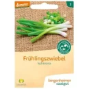 Ansicht für Bio Aubergine - De Barbentane