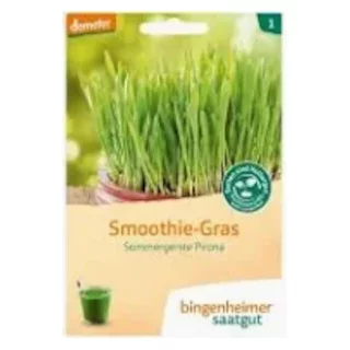 Ansicht für Bio Aubergine - De Barbentane