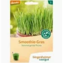 Ansicht für Bio Aubergine - De Barbentane