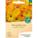 Ansicht f&uuml;r&nbsp;Bio Aubergine - De Barbentane