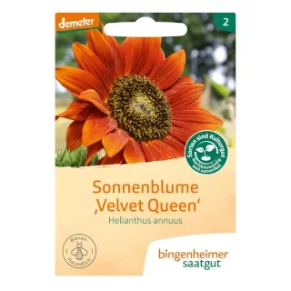 Ansicht für Bio Aubergine - De Barbentane