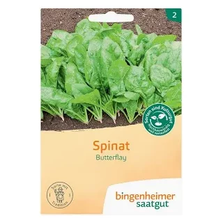 Ansicht für Bio Aubergine - De Barbentane