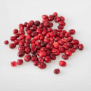 Bio Cranberries gefriergetrocknet ohne Zus&auml;tze