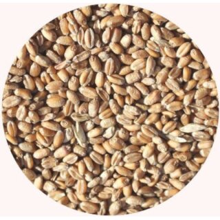 Ansicht für Bio Weizen Saat 500g
