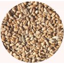 Ansicht f&uuml;r Bio Weizen Saat 500g