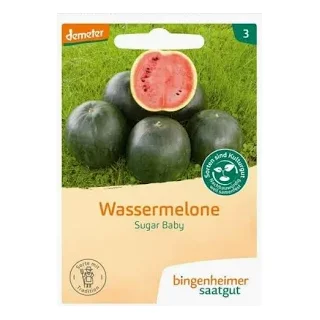 Ansicht für Bio Aubergine - De Barbentane