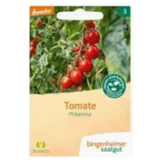 Ansicht für Bio Aubergine - De Barbentane